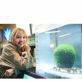 「30年前の山口智子綺麗すぎる」フジバラエティ『古畑任三郎』特集が沸騰も…視聴者が想った“タブー感”のニュースの画像