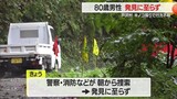 キノコ採りで80歳男性行方不明…仲間3人で柴倉山へ・捜索するも発見できず 山形・戸沢村のニュースの画像